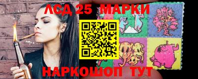 Альфа ПВП Дубна
