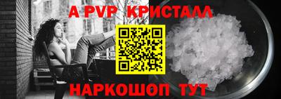 спиды Донской
