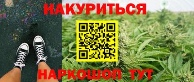 Альфа ПВП Дубна
