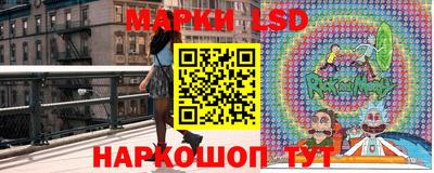 Альфа ПВП Дубна