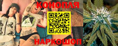 спиды Донской