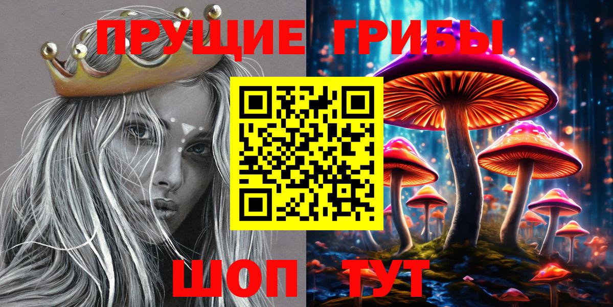 Нижнекамск  Галлюциногенные грибы GOLDEN TEACHER  Галлюциногенные грибы прущие грибы  Вход с VPN 