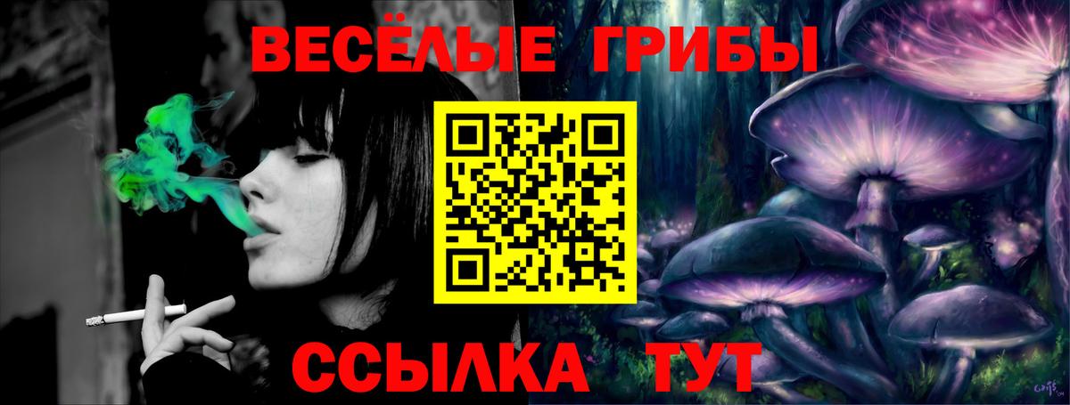 Псилоцибиновые грибы мицелий Нижнекамск